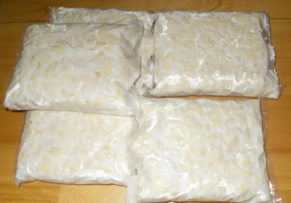 Tempe khas indonesia