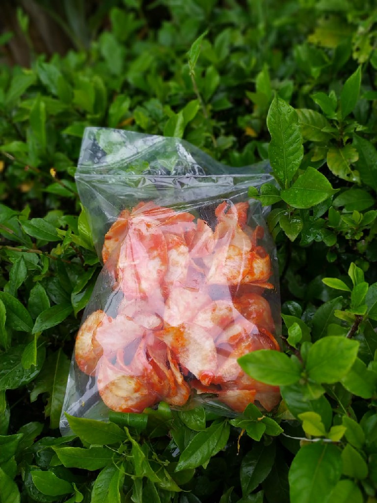 kripik, pempek, kue lilyfood