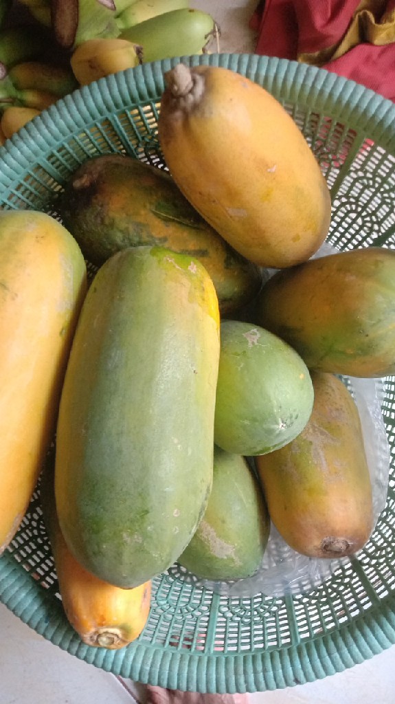 pepaya