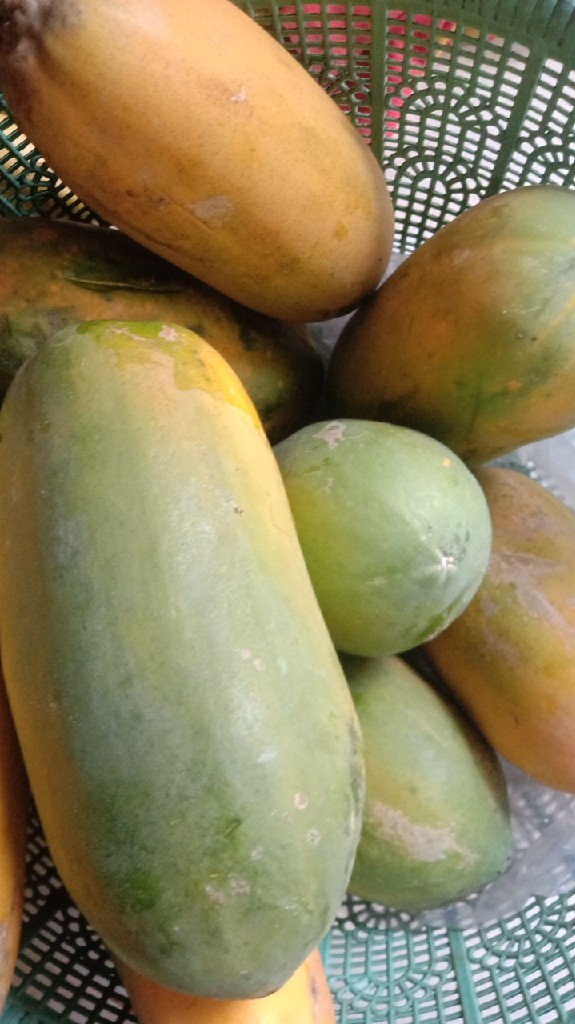 Pepaya
