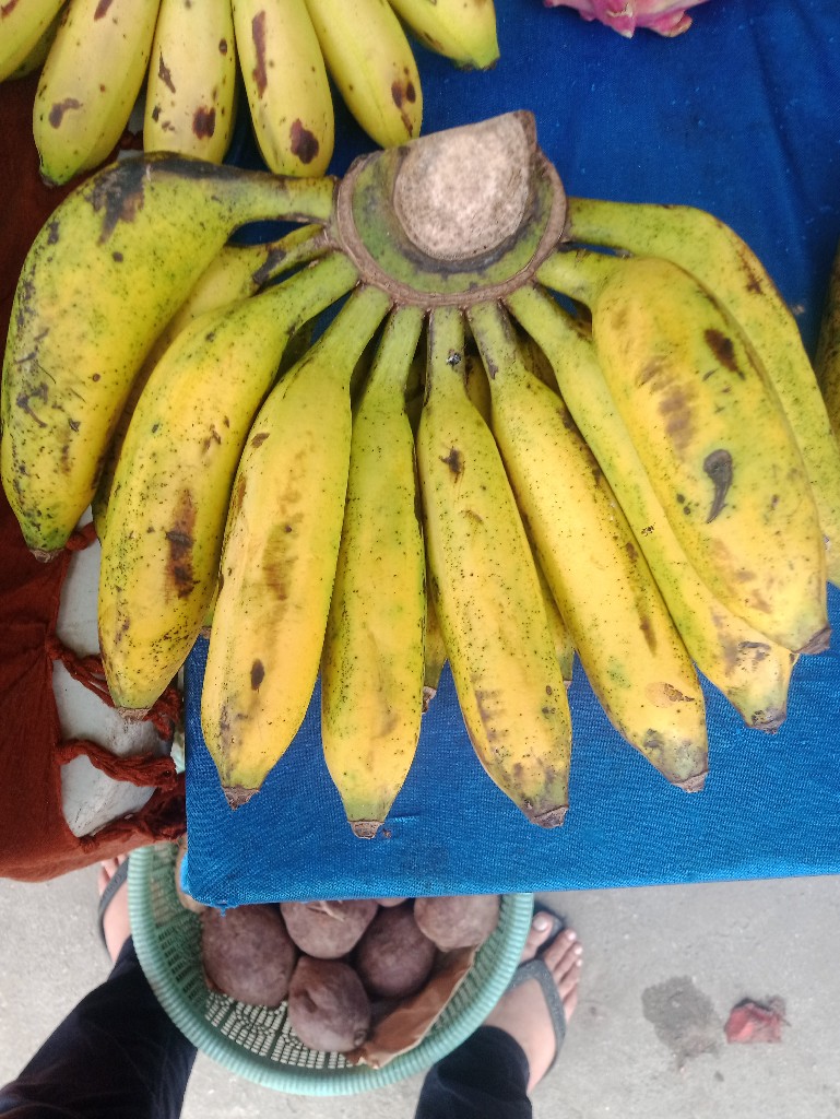 pisang