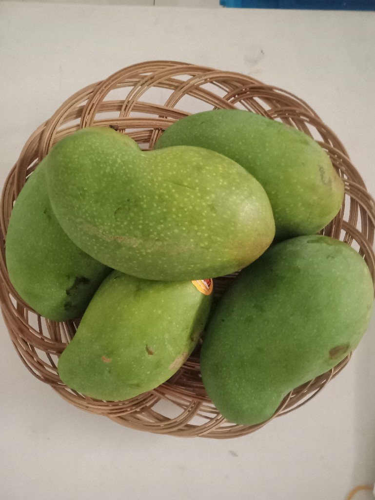 mangga alpukat