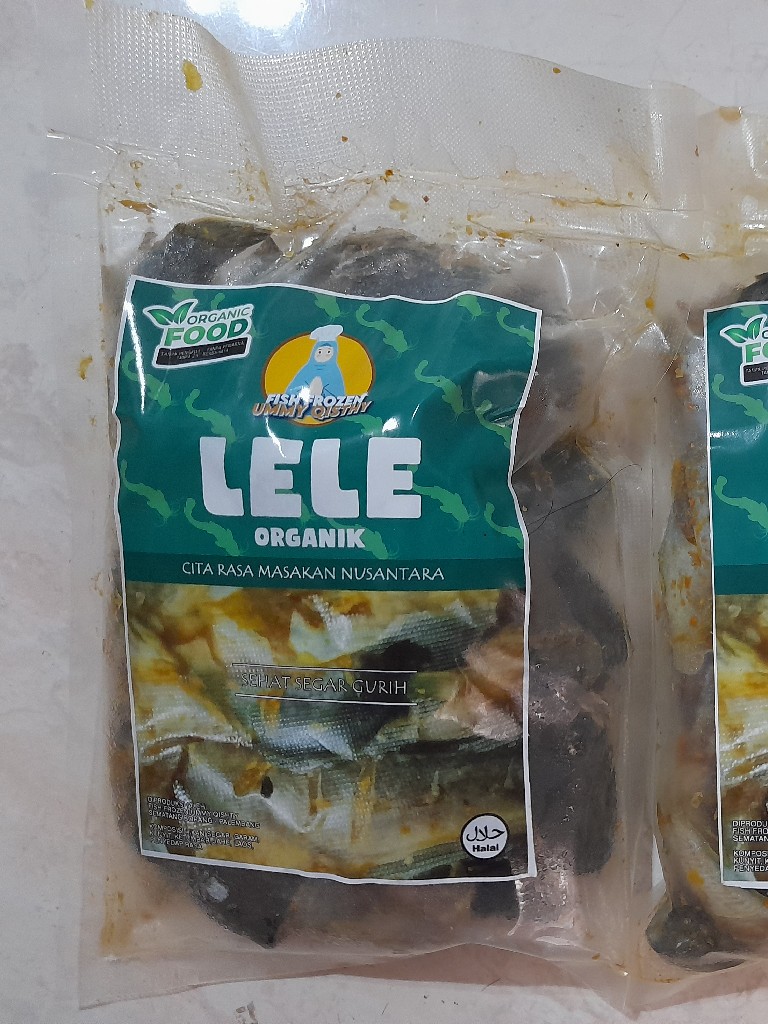 Frozen Fish