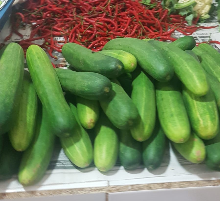 Timun Gurih dan Segar