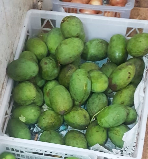 Mangga Harum Manis 1Kg