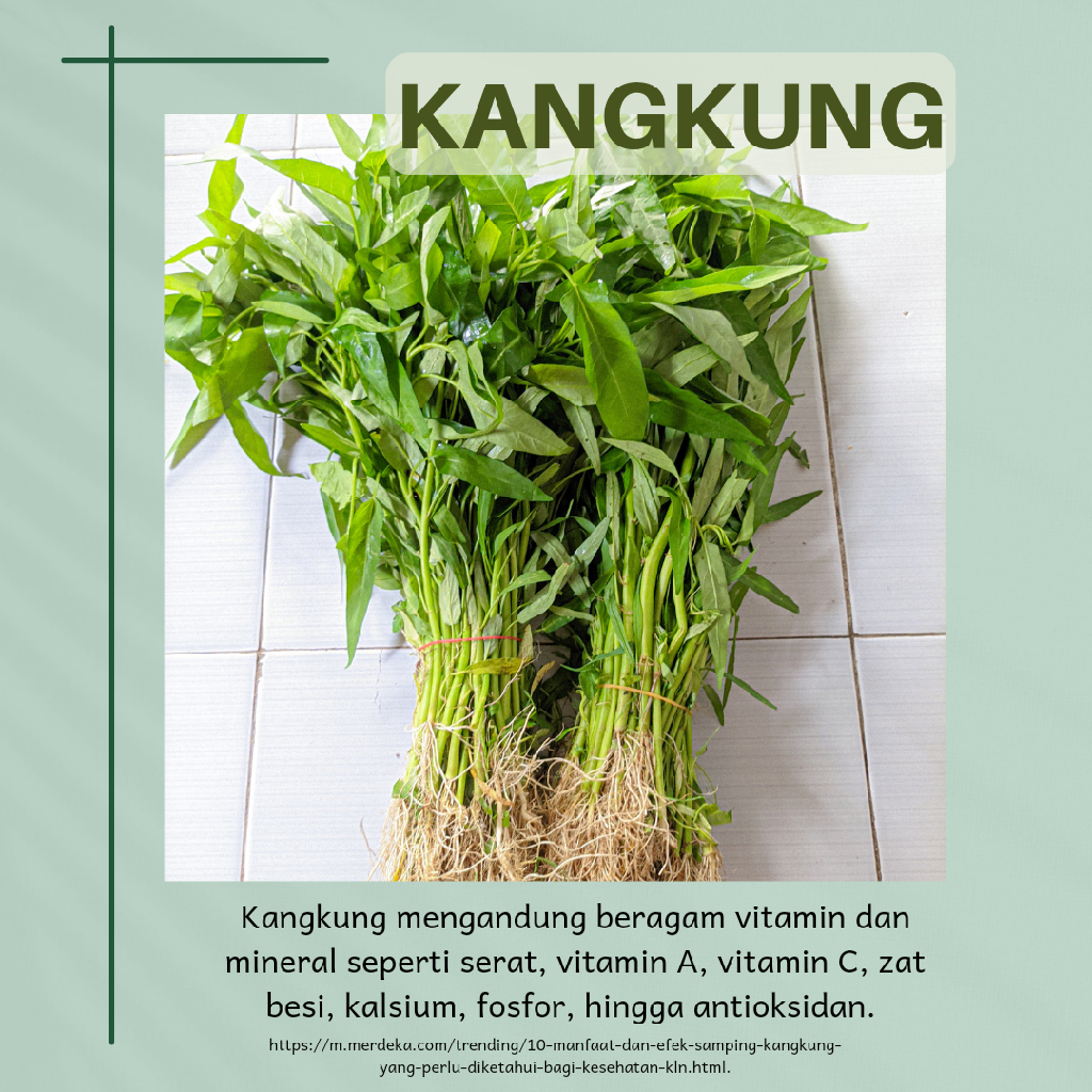 Kangkung