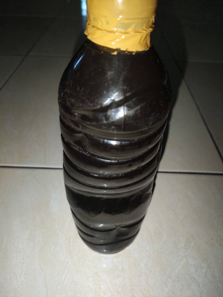 ekstrak daun Ketapang