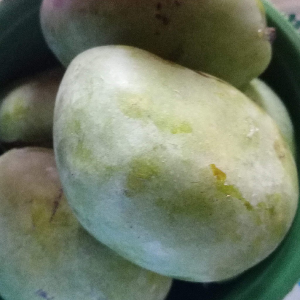 Mangga
