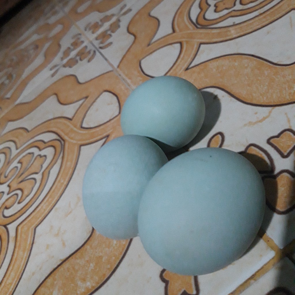 Telur Asin