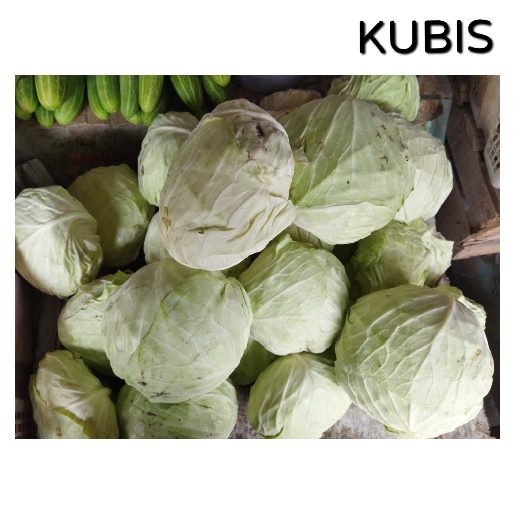 Sayur Kubis