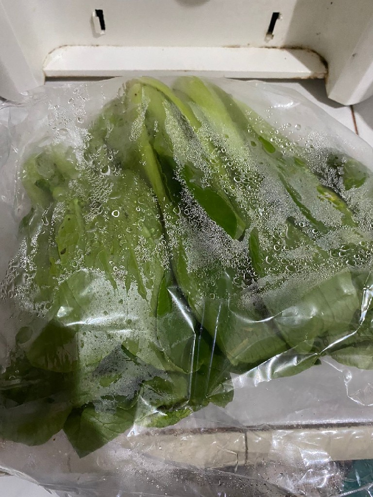 Sayur Pakcoy