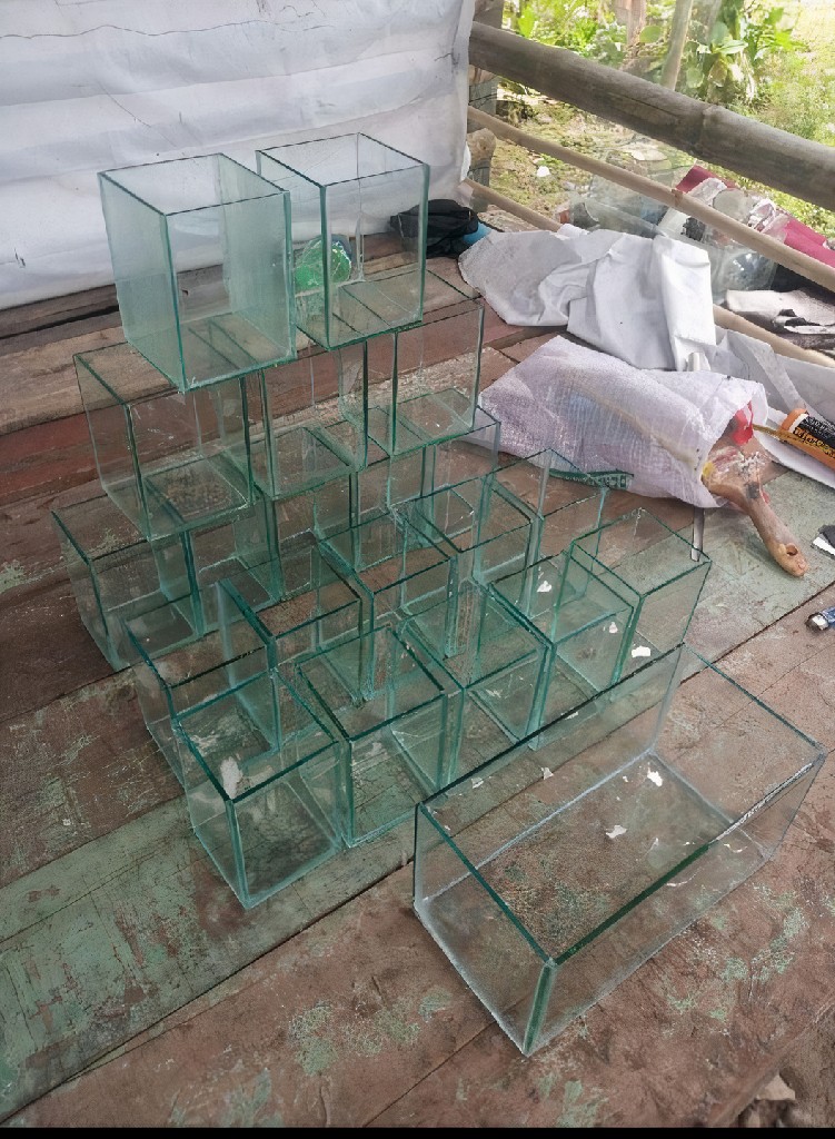 Akuarium