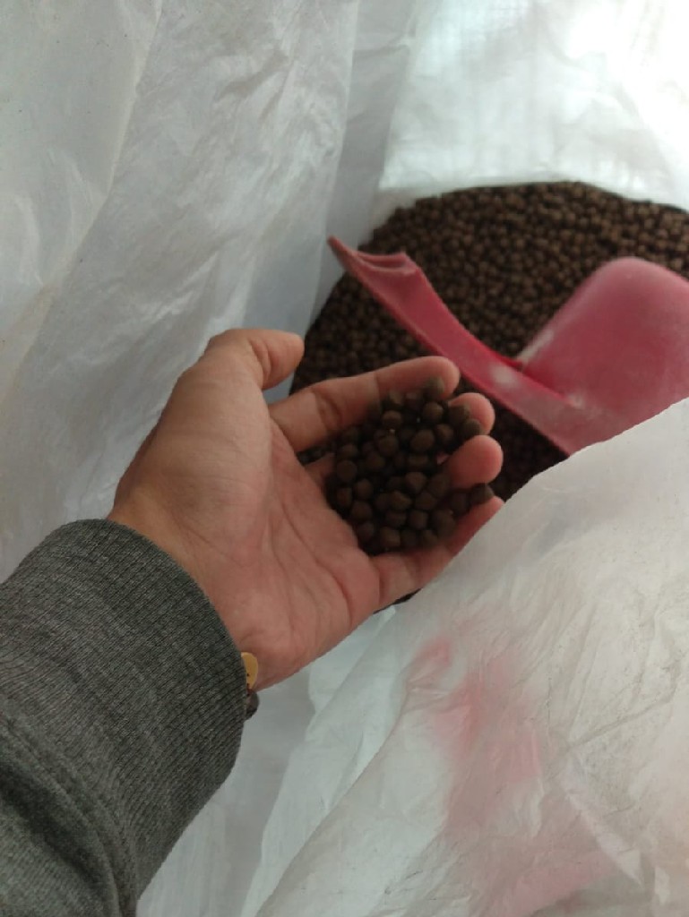 Pakan ikan SBA 188-3