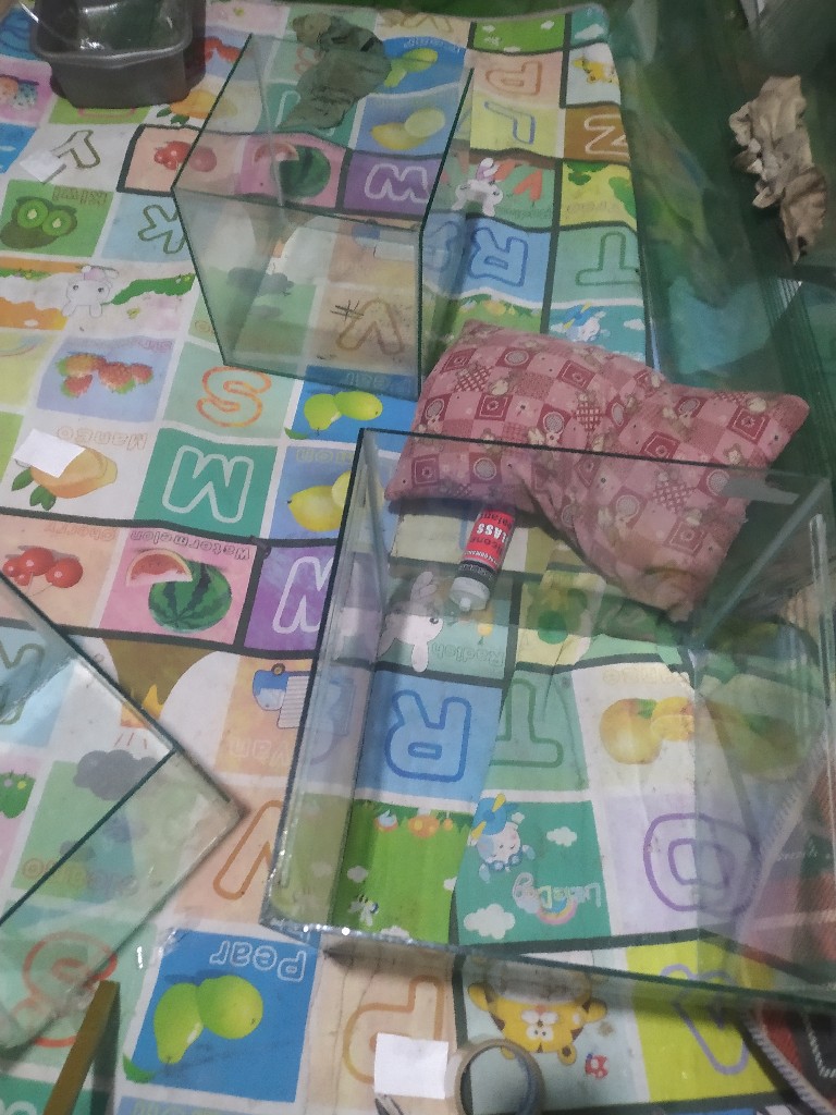 akuarium