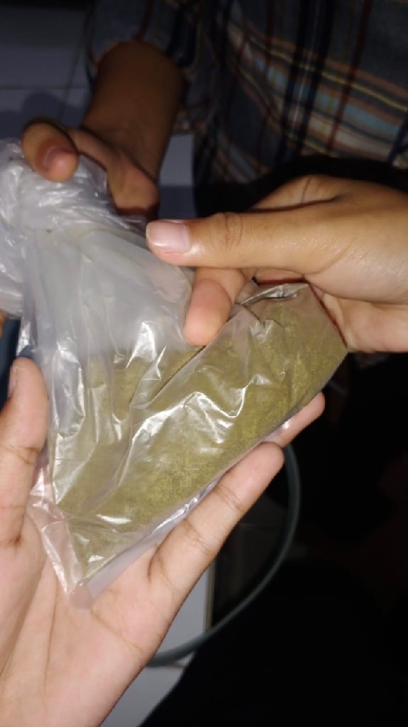 sirih cina