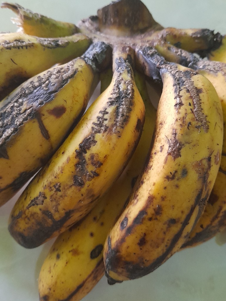 pisang