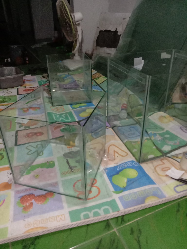 Akuarium