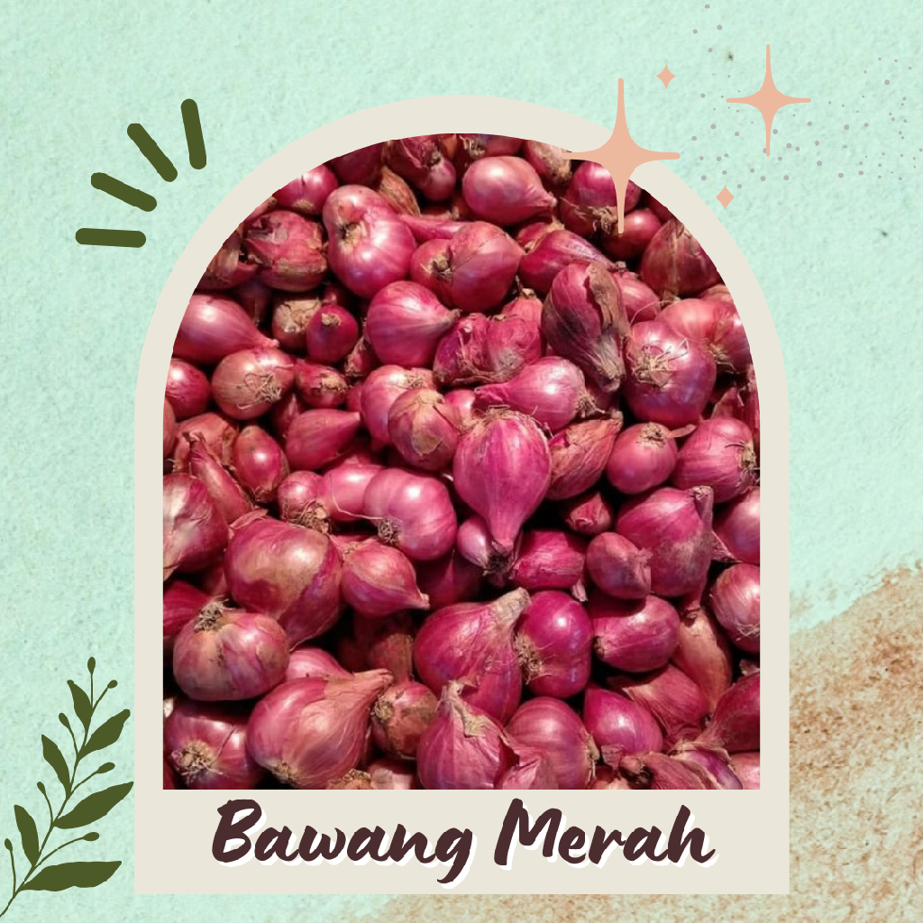 Bawang Merah