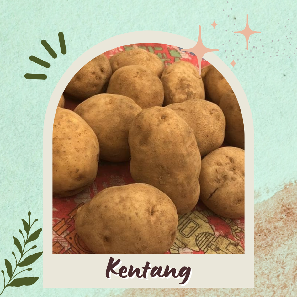 Kentang