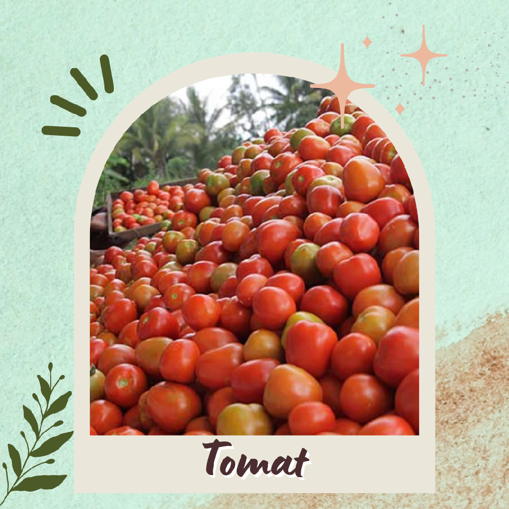 Tomat