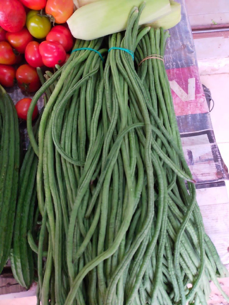 Kacang Panjang